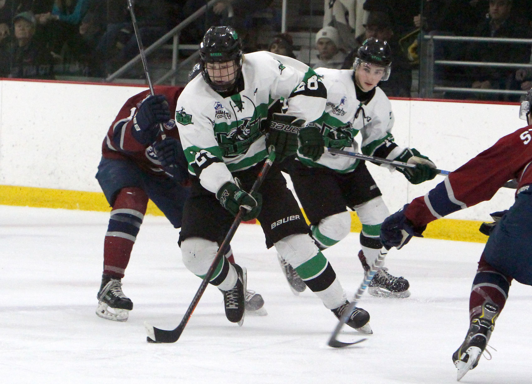 Fairbanks Ice Dogs at Chippewa Steel 12-29-18
